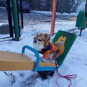 Фотография "Погуляли однако)))"