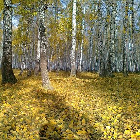 Фотография от Зульфия Гарифуллина