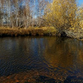 Фотография от Михаил Максимовский