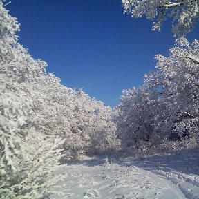 Фотография от Владимир Золотницкий