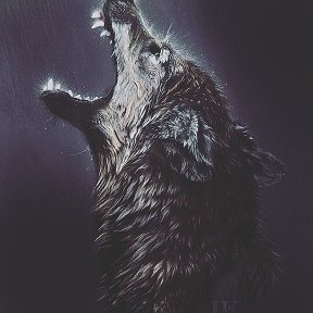 Фотография от Азиатский Волк