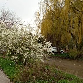 Фотография от Анна Гринцевич (Ткачёва)