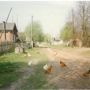 Фотография от Деревня Данилово