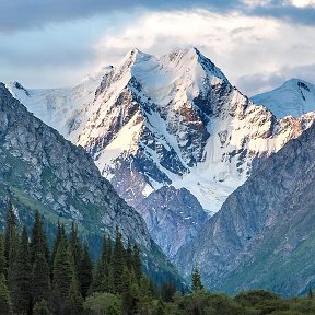 Фотография от шиховцев коля