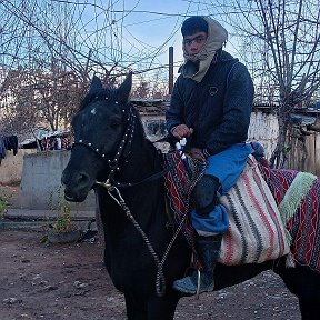 Фотография от Саид Давлатов