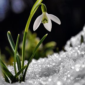 Фотография от Галина Nikonovа