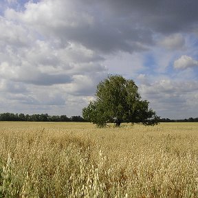 Фотография от Елена Семёнова