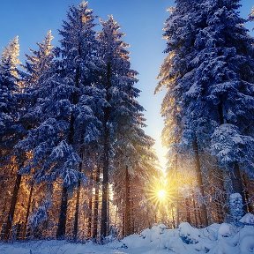 Фотография от Светлана Нарходжаева (Новикова)