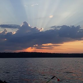 Фотография от Елена Гагарина