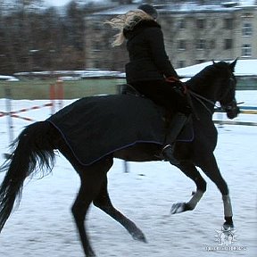 Фотография "Это я (Москва, КСК Дадмал). Подо мной конь по кличке Анкор."