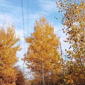 Фотография от Светлана Хрущева