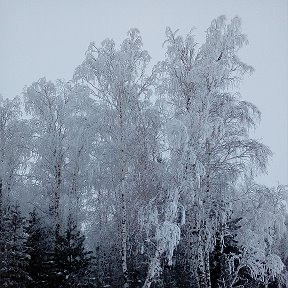 Фотография от Клавдия Старченко