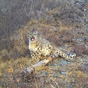 Фотография от Национальный парк Сайлюгемский