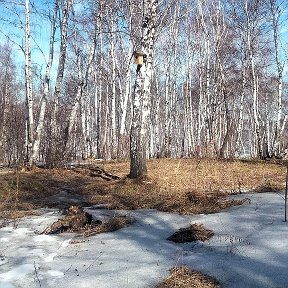 Фотография от Наталья Заречнева