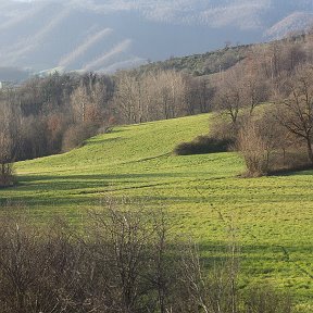 Фотография "Чудные места"