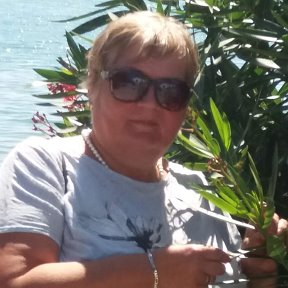 Л г ерохина. Л г ерохина. Литература 6 класс учебник. Ректор пвгус тольятти. Литература 6 класс учебник.