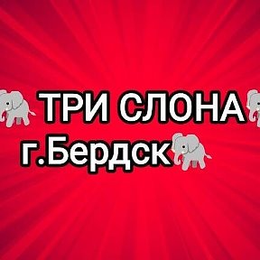 Фотография от 🐘ТРИ СЛОНА🐘 Бердск🐘