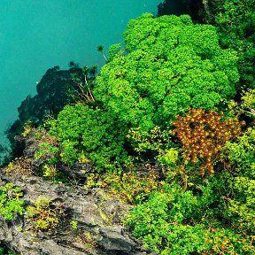 Фотография от Галина Кукушкина ( Скачедуб)