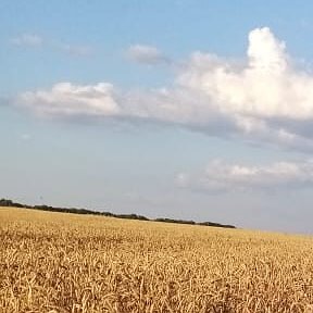 Фотография от Валентина Пермякова