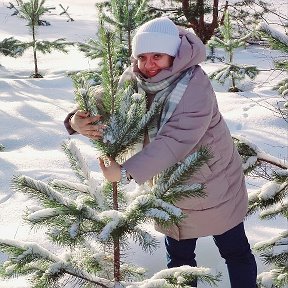 Фотография "Маленькой ёлочке холодно зимой🌲🌲🌲🌲❄️❄️🎄🎄"