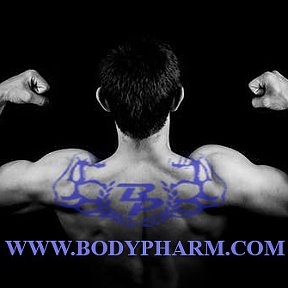 Фотография от BodyPharm Com