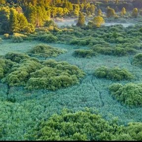 Фотография от Александра Баскакова