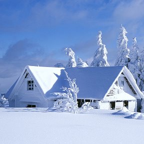 Фотография от Никита Омск