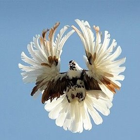 Фотография от Валерий Л