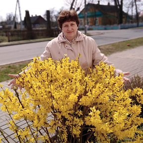 Фотография от Татьяна Микулич (Шеленговская)