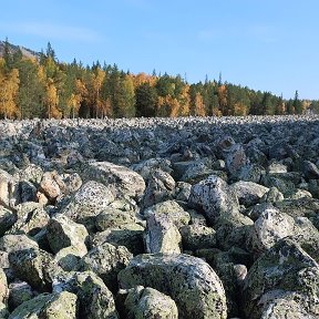 Фотография от Людмила Курочкина (Свитящук)