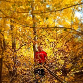 Фотография от Галина Дудкина