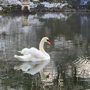 Фотография от Елена АленокЕжик