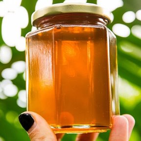 Фотография "Живица с мёдом, одно из самых продуктивных средств, практически от всех недугов..."