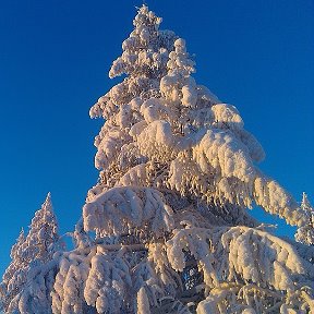 Фотография "Айхал"