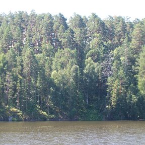 Фотография от Алёша Симоненко