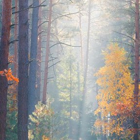 Фотография от Aлександр ВОРОБЬЕВ