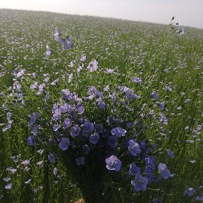 Фотография от Галина Кухаренко(Контровская)