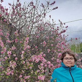 Фотография от Марина Верхотурова