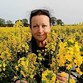 Фотография "Унеси ты моё горе да на рапсовое поле! Любимый весенний сюжет. 6 апреля 2024. "