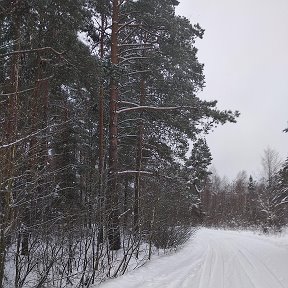 Фотография от Виктор Петров