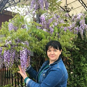 Фотография от Лариса Коломийцева🌸Павлова 🌸