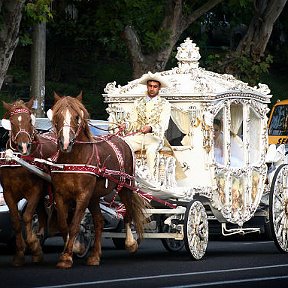 Фотография от Wedding STUDIO 095-12-10-10 37495121010