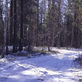 Фотография от Дима Алекминский