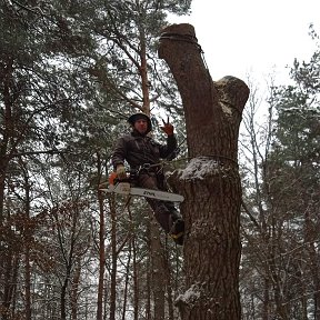 Фотография от Кирилл Анисов