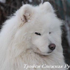 Фотография от ✔Снежная Руссия✔ (п-к Самоедов) Светлана