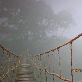 Фотография от Юрий Мирончик