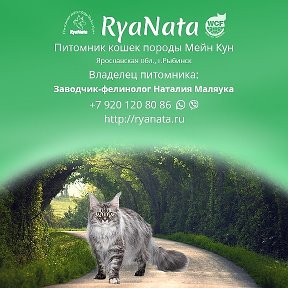 Фотография от Наталия Маляука Питомник RyaNata