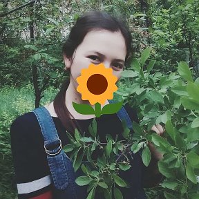 Фотография "🌻🌻🌻"