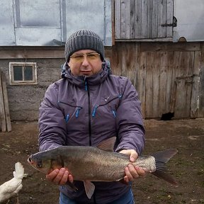 Фотография от Сергей Геннадьевич