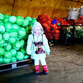 Фотография "специальный корреспондент...."